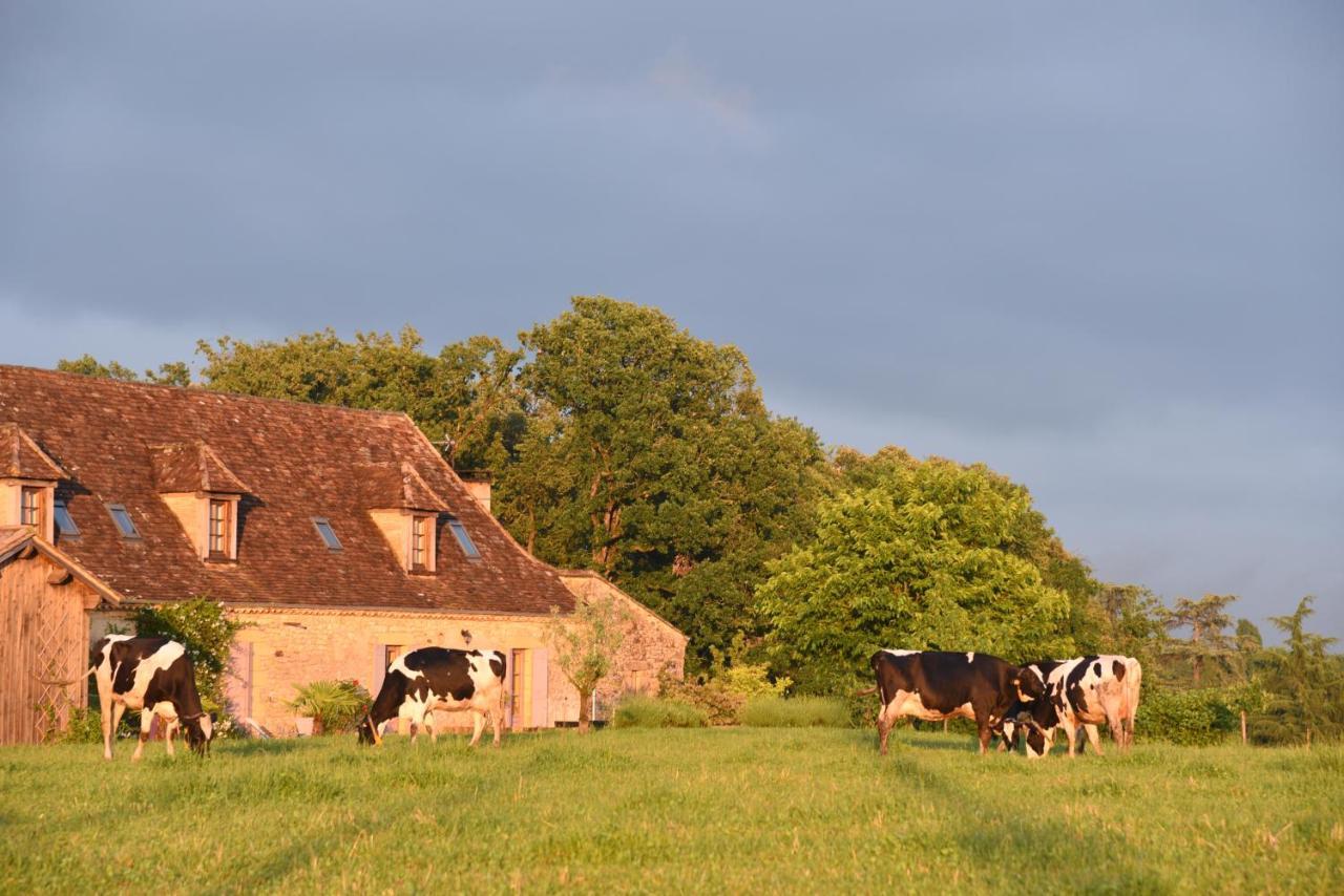 Chambre D'Hotes La Ferme De La Croix. Saint-Avit-Sénieur Exterior foto