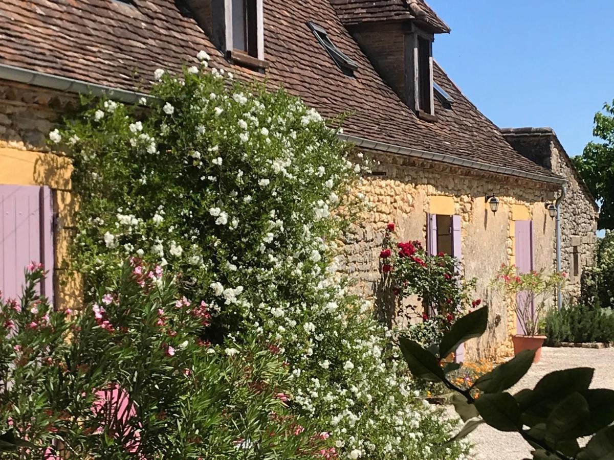Chambre D'Hotes La Ferme De La Croix. Saint-Avit-Sénieur Exterior foto